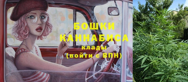 стафф Бородино