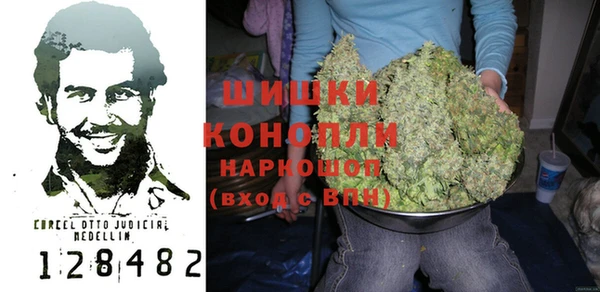 дмт Богородицк