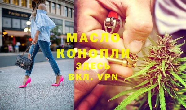 дмт Богородицк