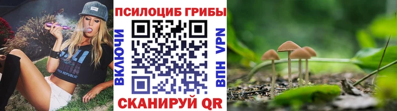 Псилоцибиновые грибы мухоморы  Купить где  Неман 